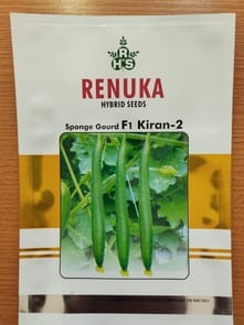 Sponge Gourd F1 Kiran - 2