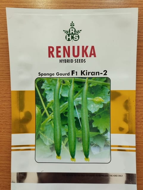 Sponge Gourd F1 Kiran - 2