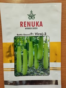 Bottle Gourd F1 Viraj - 3