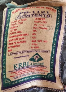 Paddy Seed- PB-1121 (C/S)