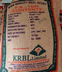 Paddy Seed- PB-1509(T/L)