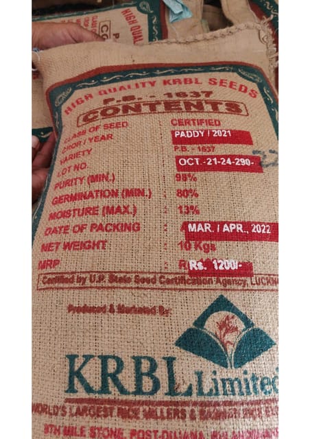 Paddy Seed- PB-1637(C/S)